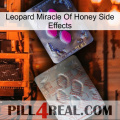 Leopard Miracle Of Honey Side Effects 38